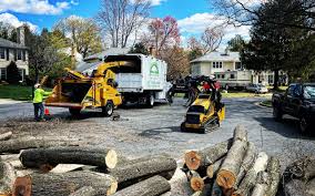 Best Sod Installation  in Somers Point, NJ